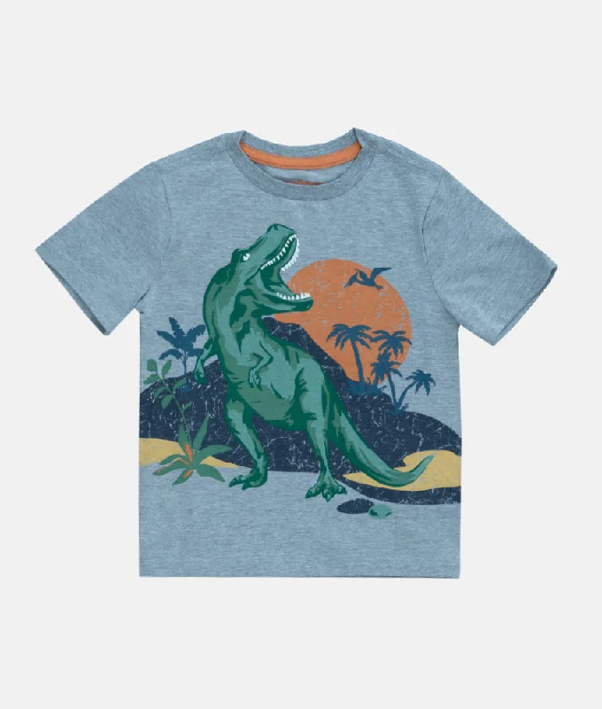 Boys T-shirt - Grey T-Rex