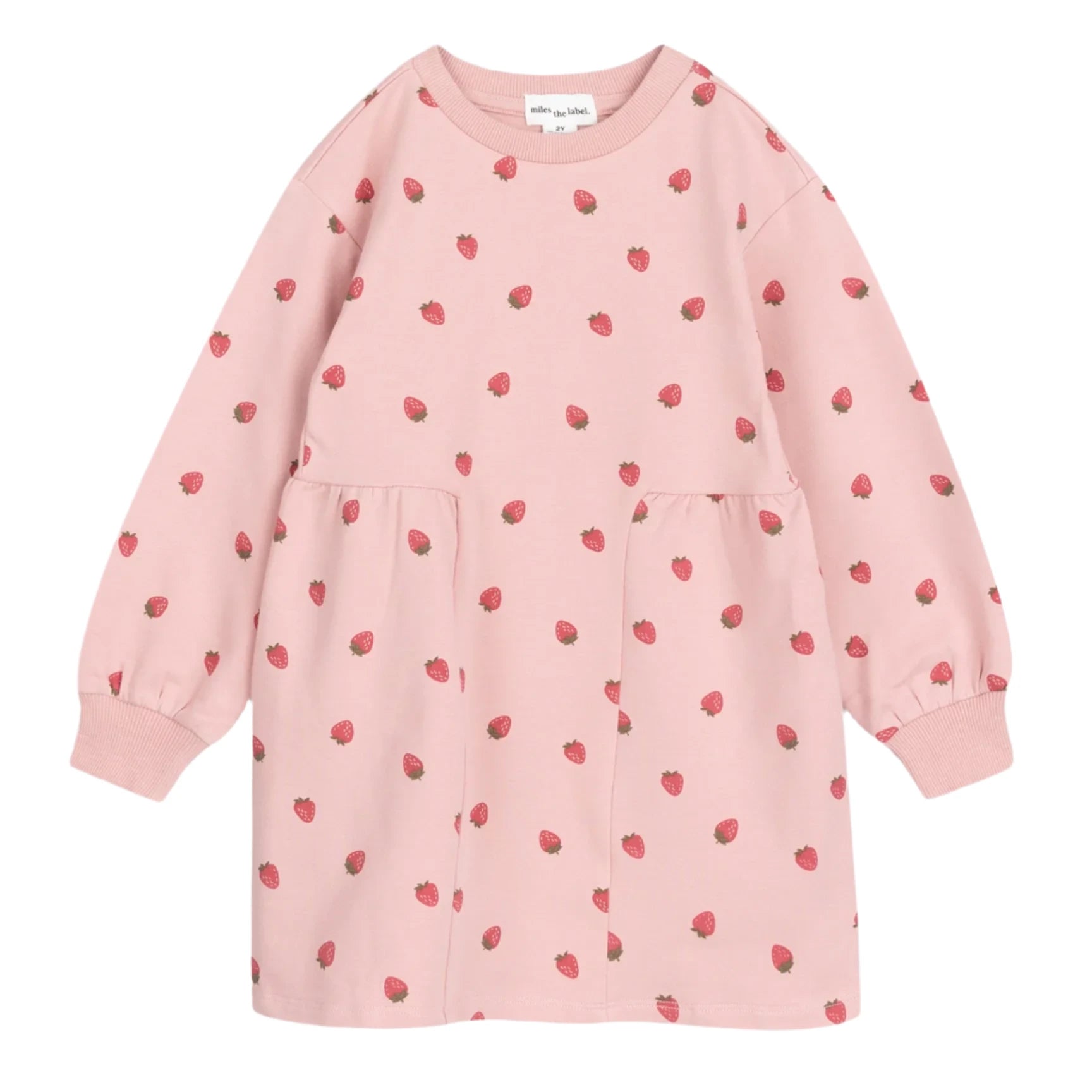 Strawberry Print on Rose Terry Dress